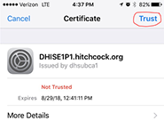 iOS Certificate screen